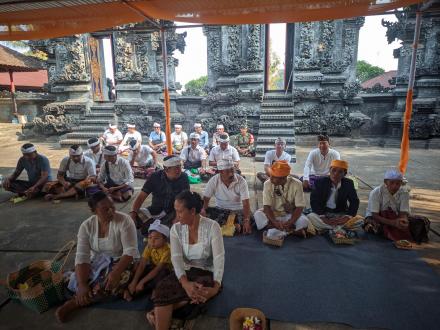 Pemdes Tajun Gelar Kegiatan Mereresik dan Persembahyangan Bersama dalam Rangka Rahina Tumpek Wayang.